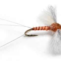 CDC Biot Spinner Rusty