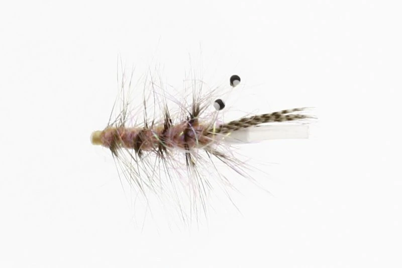 Alive Shrimp Tube Plast 1 Alive Shrimp Tube Plast