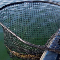 Drifter Tackle Predator Net 48 Black Handle -Abu Garcia Verkäufe PR40XXL BKr 5